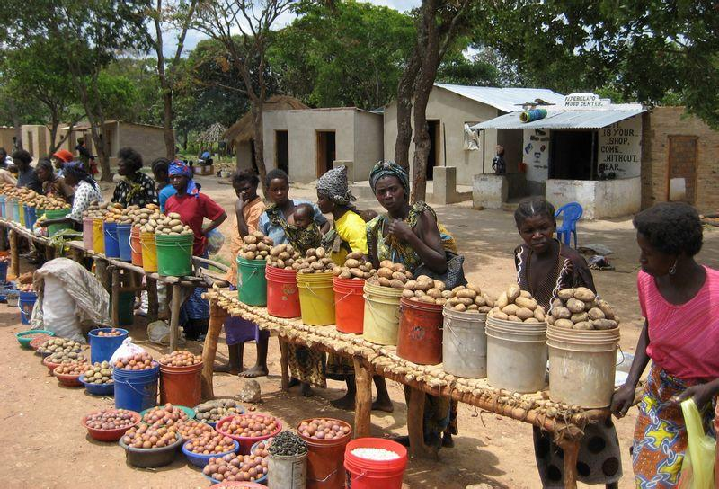 6699c7a964625.png 图片4.png