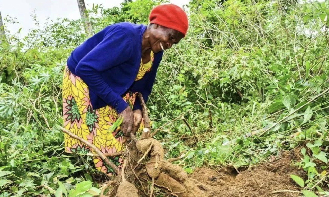 66bd5db506f67.png 截屏2024-08-07 11.07.42.png