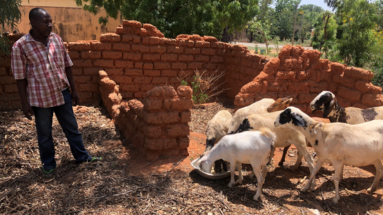 66bd5dcf8dcb4.png 图片2的副本.png