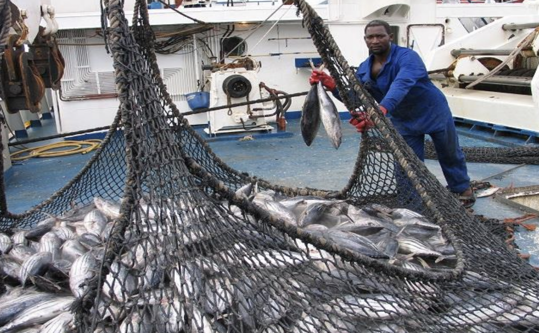 66cfd3382f449.png 截屏2024-08-23 10.11.50.png