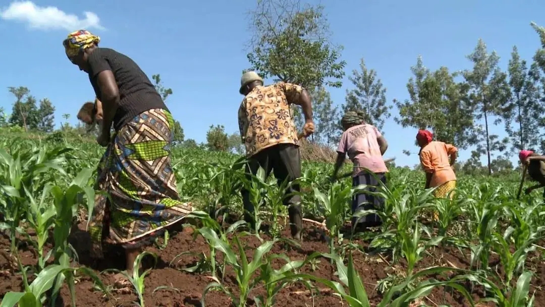 66daae15b59e2.jpg 微信图片_20240906152342.jpg