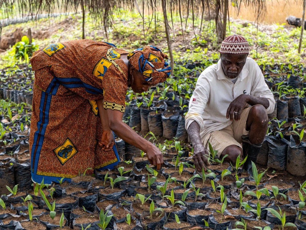 671af7403a7df.jpg WechatIMG34.jpg