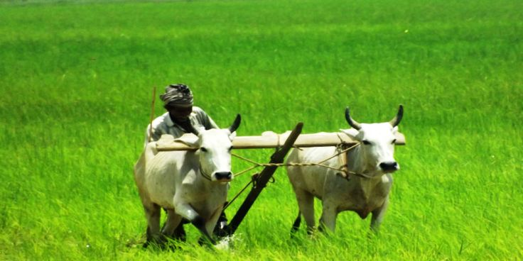 673fe27604881.jpg WechatIMG12.jpg