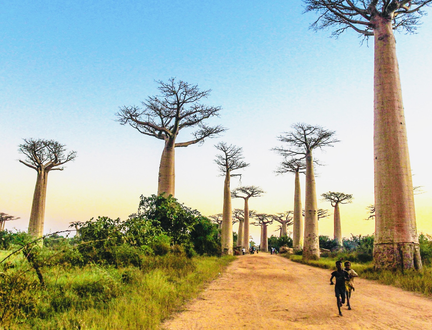 673fe27f8ea68.jpg WechatIMG15.jpg