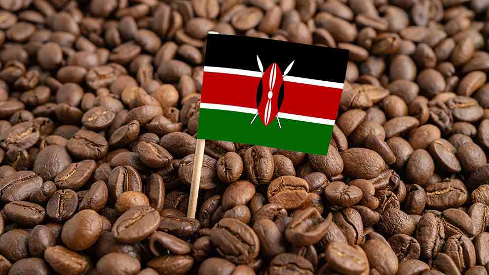 67aeb43bc4bec.jpg WechatIMG5.jpg